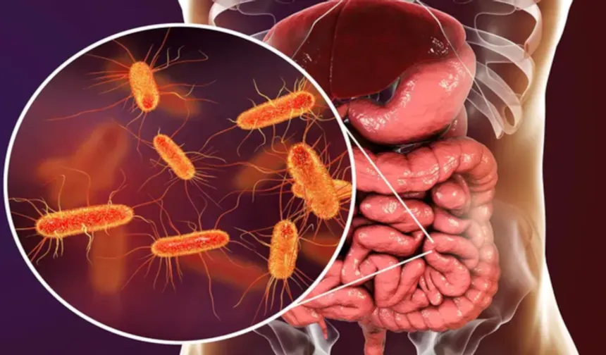 Yeni Salgın 2 Can Aldı: En Çok Çocukları Etkiliyor!