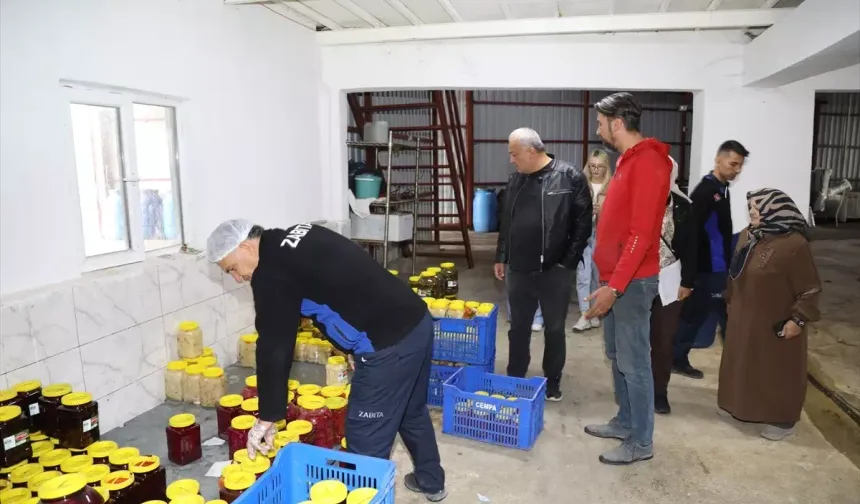 Çubuk'ta Turşu Üretimine Denetim