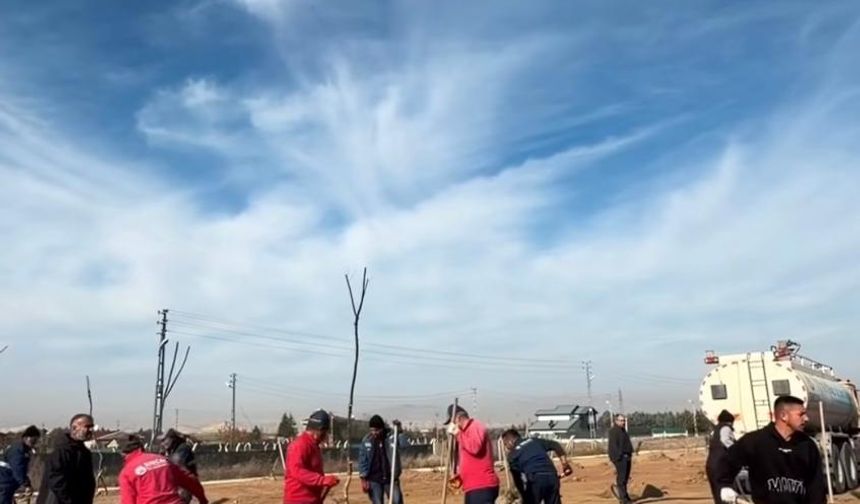 Sincan'da Fidan Dikimi Etkinliği Yapıldı