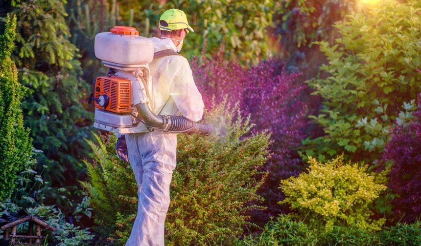 Böcek İlaçlarının Satışında Yeni Düzenleme: Reçetesiz ve İnternetten Satış Yasaklandı