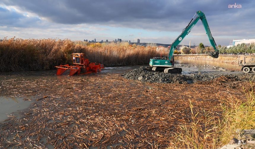 Gölbaşı Belediyesi, Mogan Gölü'nün Sahil Caddesi Kıyısında Temizlik Çalışmalarını Tamamladı