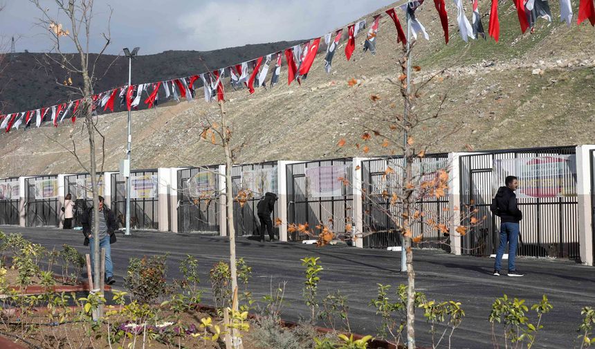 Yenimahalle'de Sokak Hayvanları Rehabilitasyon Merkezi Açıldı