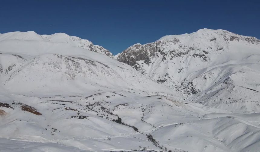 Atanamayan Öğretmen Hayvancığa Başladı