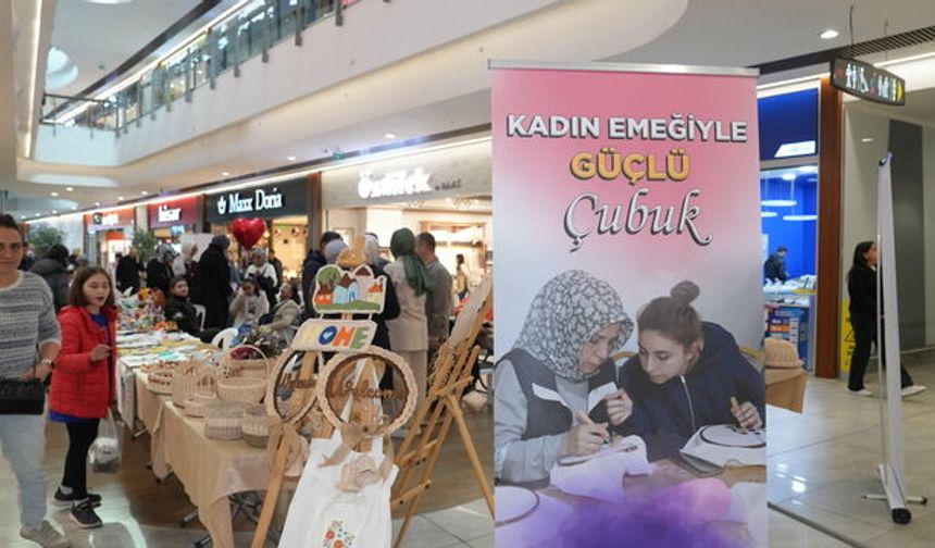 Çubuk Tanıtım Günleri Gerçekleşti