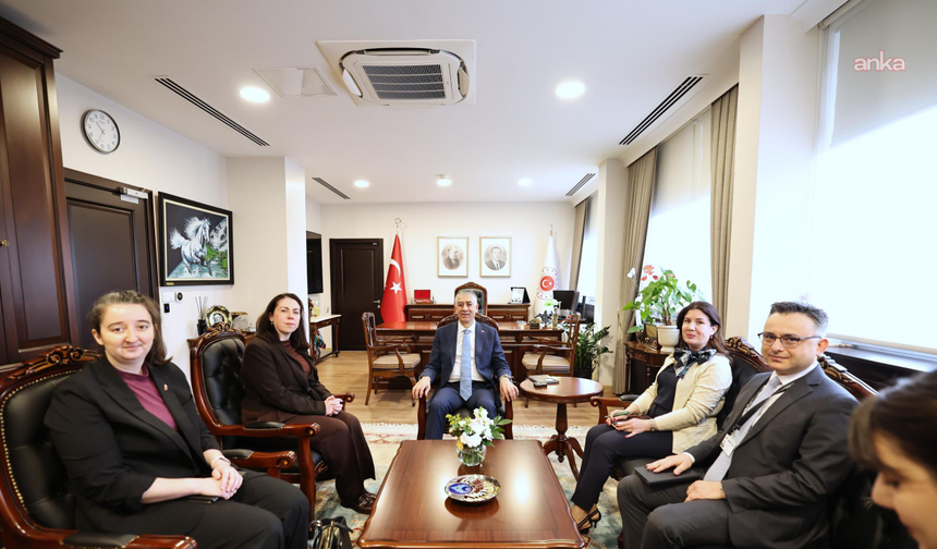 Dışişleri Bakan Yardımcısı Özel,  İrlanda’nın Ankara Büyükelçisi'ni Kabul Etti