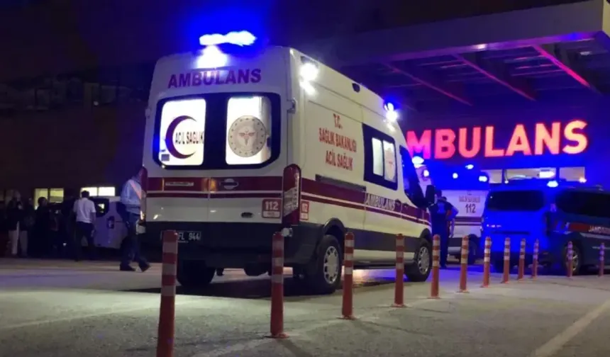 Ankara Ayaş’ta Köpek Kavgası Kanlı Bitti: Baba Tutuklandı, Oğluna Adli Kontrol