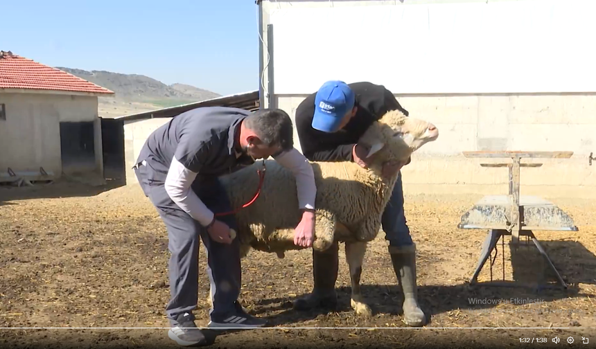 Mansur Yavaş'tan Kırsal'daki Üreticiye Can Suyu