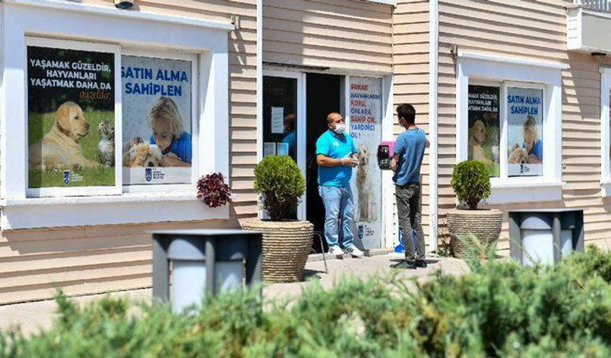 Ankara Büyükşehir Belediyesi'nden 8 Milyonun Üzerinde Sokak Hayvanına Veterinerlik Hizmeti