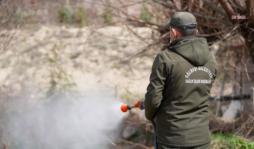 Gölbaşı'nda Sinek ve Haşere Mücadelesi Kesintisiz Sürüyor