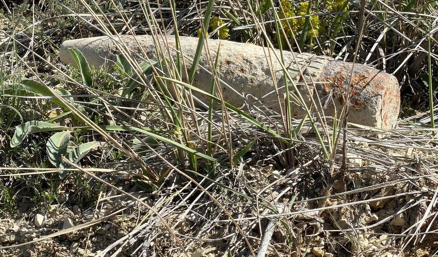 Ayaş'ta Mantar Ararken Top Mermisi Buldu, 20 Metre Taşıdı