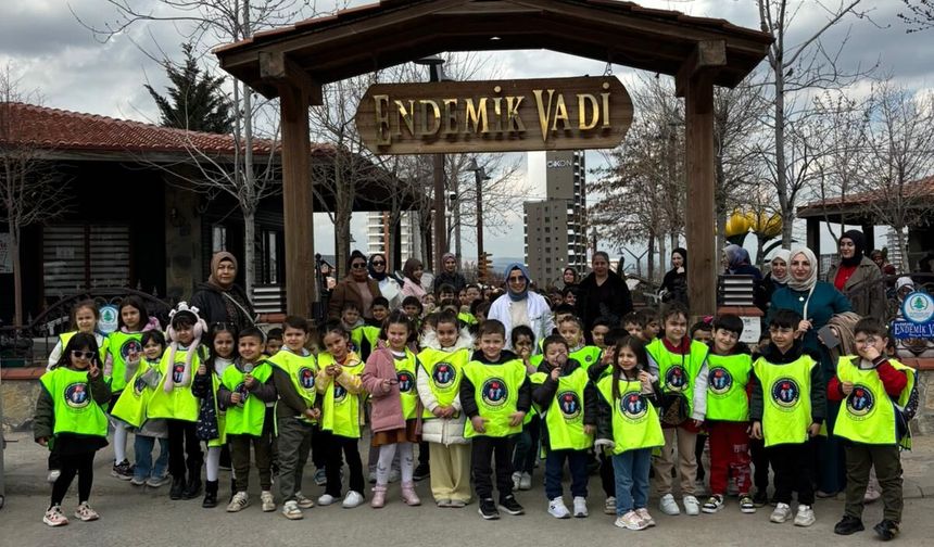 Pursaklar Endemik Vadi'ye Bahar Geldi