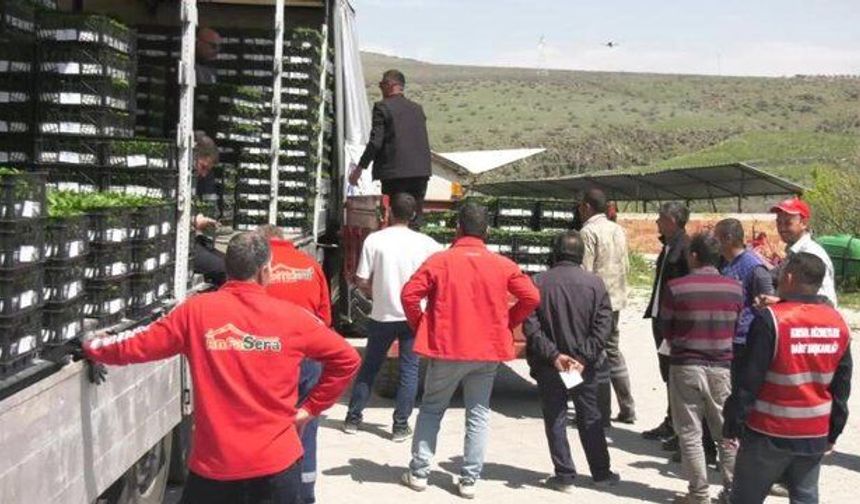 Mansur Yavaş'tan 8 İlçeye Erkenci Fide Desteği