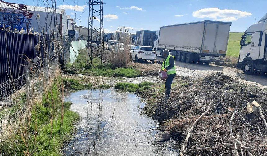 Yenimahalle’de Larva İlaçlama Çalışmaları Devam Ediyor