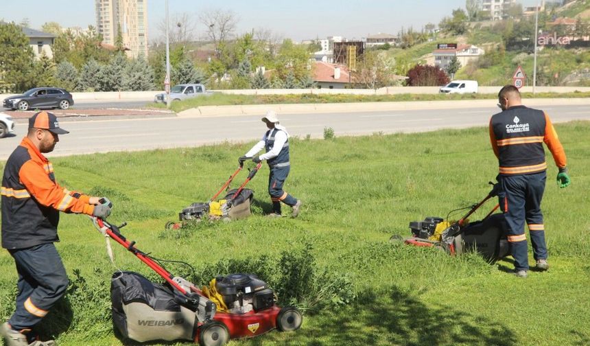 Çankaya Belediyesi Parkları Bahara Hazırlanıyor