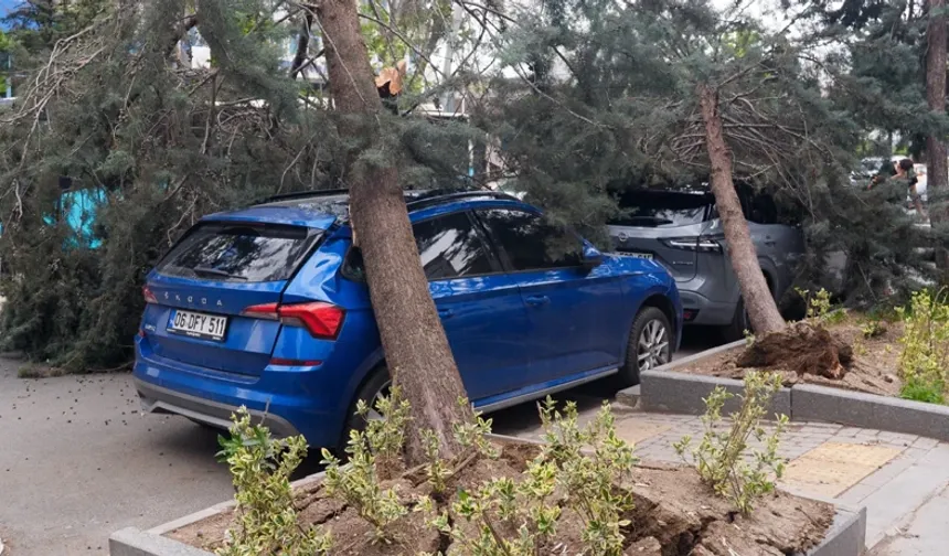 Ankara'da Etkili Olan Şiddetli Rüzgar Nedeniyle 2 Ağaç Park Halindeki Otomobillerin Üzerine Devrildi