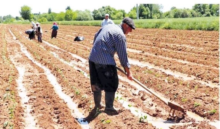 Tarımda Girdi Maliyetleri Martta Yıllık Yüzde 34,26 Arttı
