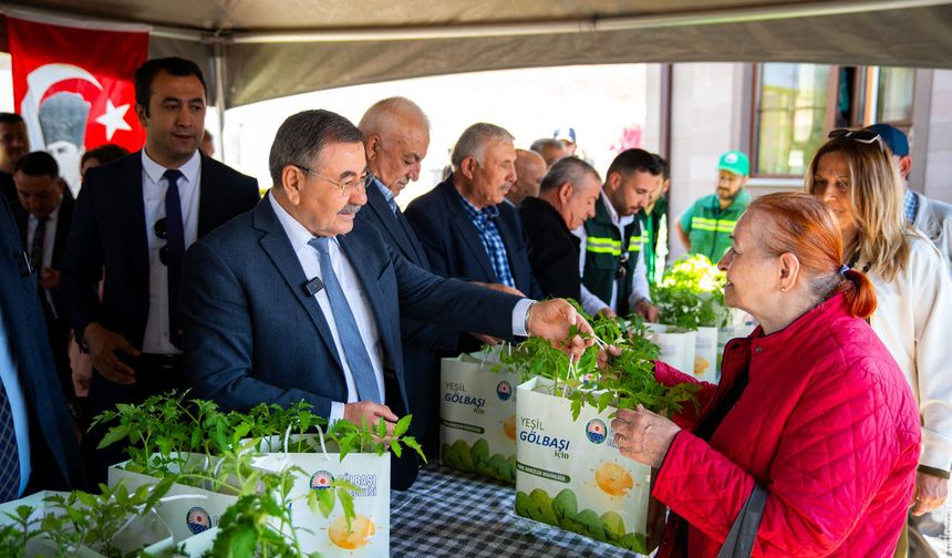 Gölbaşı'nda 190 Bin Ata Tohumu Fidesi Dağıtıldı