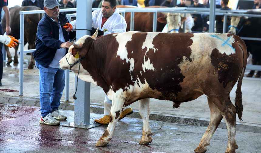 Yenimahalle’de Kurbanlar Huzurla Kesildi