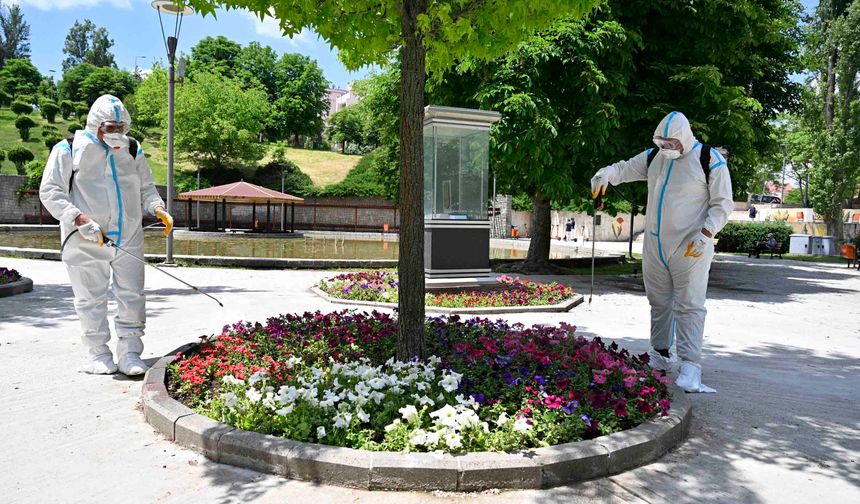 Ankara Büyükşehir Belediyesi Kent Genelinde İlaçlama Çalışmalarını Sürdürüyor