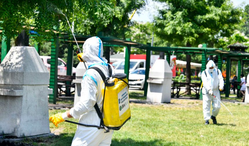 Ankara Büyükşehir Belediyesi  İlaçlama Seferberliğine 25 İlçede Aralıksız Devam Ediyor