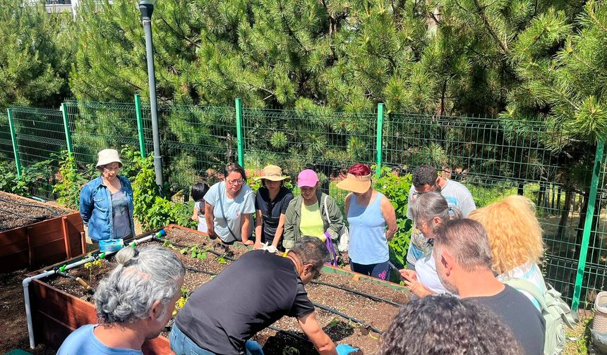 Çankaya Kent Bostanlarında Fideler Dikildi