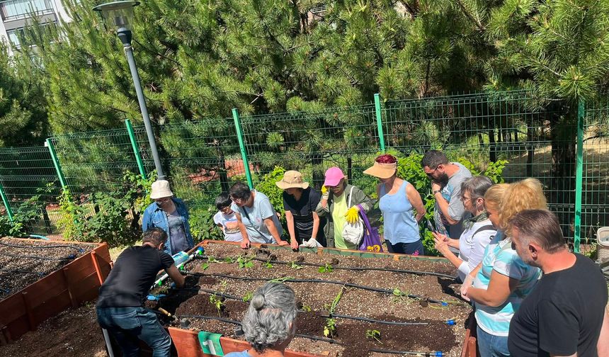 Çankaya’da Kent Bostanlarında Atalık Fideler Toprakla Buluşturuldu