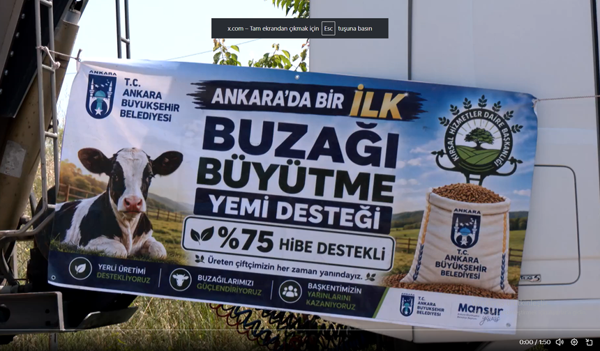 Mansur Yavaş'tan Bir İlk Daha: Yüzde 75 Hibeli “Buzağı Büyütme Yem Desteği” Kırsaldaki Yetiştiriciye Can Suyu Oldu
