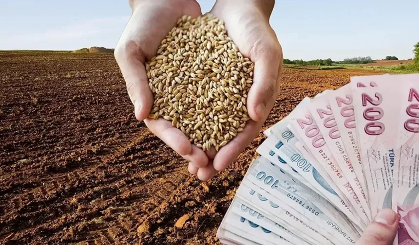 2026 Yılı Hububat Alım ve Satım Fiyatları Belli Oldu
