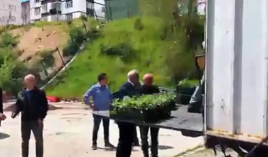 Kızılcahamam'da Üreticiye Çilek Fidesi Hibesi