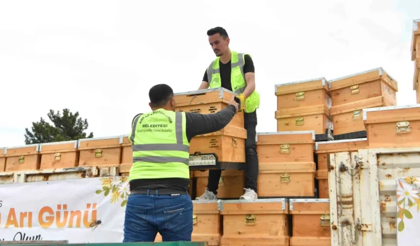 Mansur Yavaş'tan 25 İlçedeki Arıcılara Yüzde 50 Hibeli Kovan Desteği