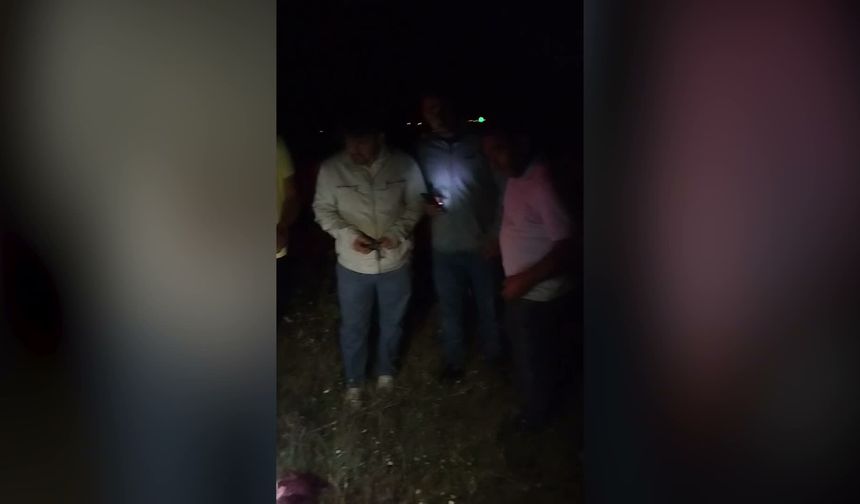 Köpeği Satırla Öldüren Kişi Tutuklandı