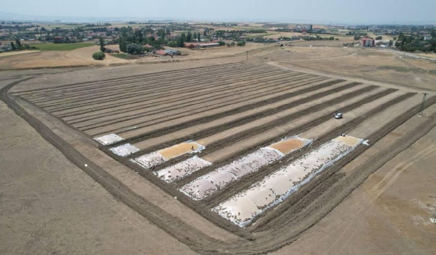 Çubuk'ta TMO Hububat Alımları Başladı, Festival Heyecanı