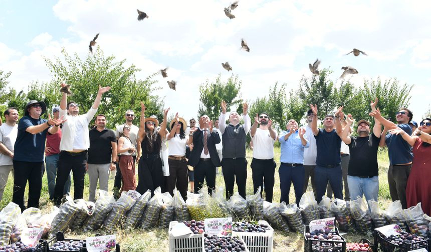 Ankara Büyükşehir Belediyesi 600 Keklik ve Bıldırcını Doğaya Saldı