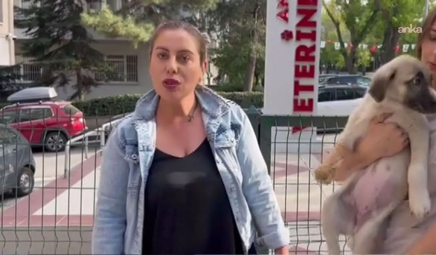 Ankara'da Öldürülen Gülay Akgün Mutlu'nun Katil Zanlısı Ağabey Yakalandı