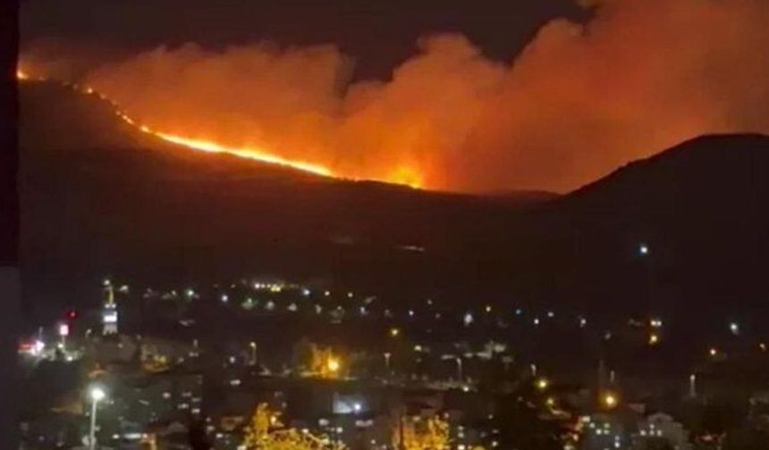 Ankara’da Ağaçlık Alanda Yangın Çıktı
