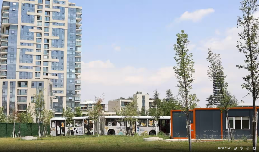 Ankara Büyükşehir Belediyesi'nden Kedilere Özel Merkez