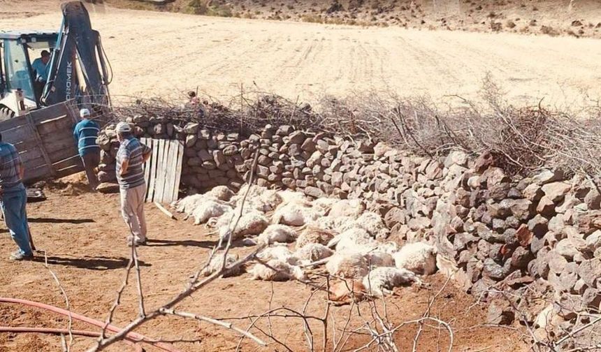 Güdül'de Bir Çiftlikte Çıkan Yangında 30 Keçi ve 40 Kuzu Telef Oldu